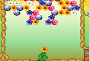 Flower Power Flower Power